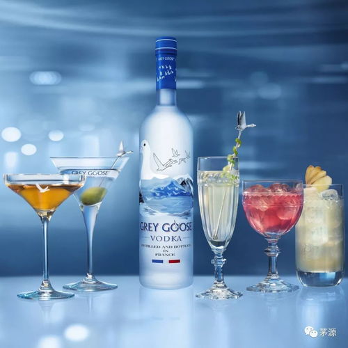 你找到了屬于自己的酒了嗎 你幾月出生,就是哪種酒