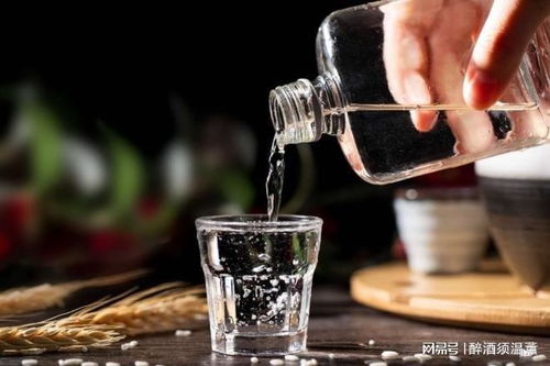 特寵粉的幾款親民糧食酒,快帶回家嘗一嘗吧